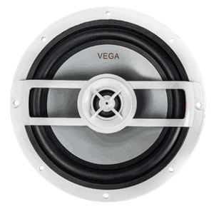 Cerwin Vega VM65 RPM VEGA